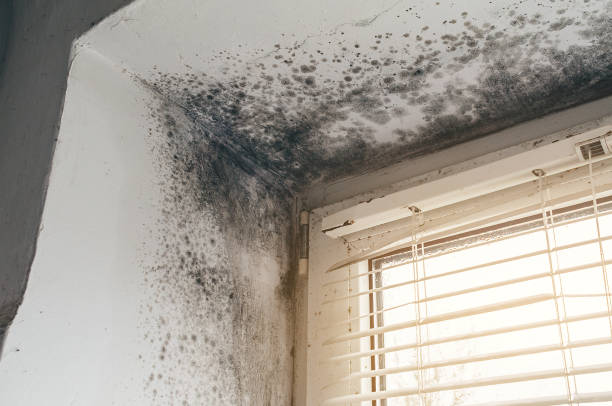 Clearance testing in Mount Airy